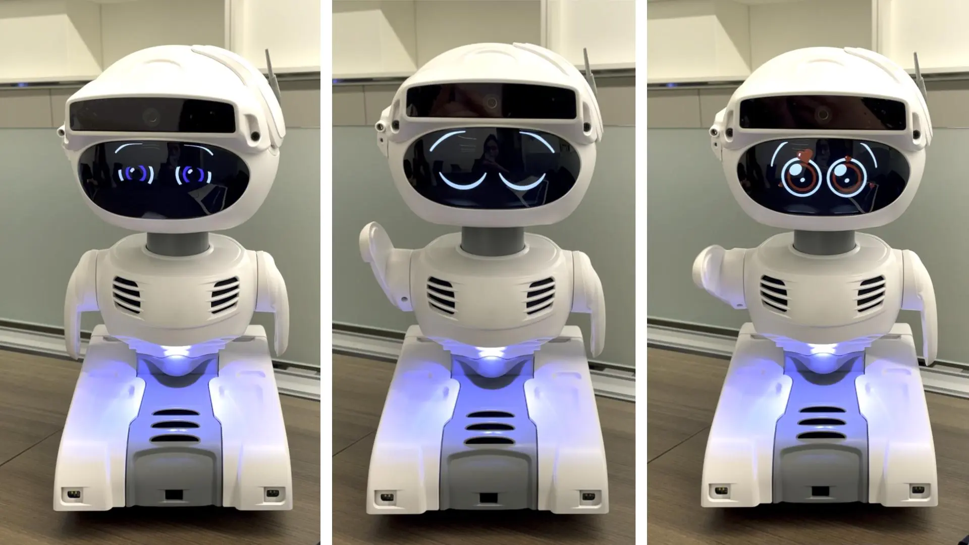 Misty storytelling robot